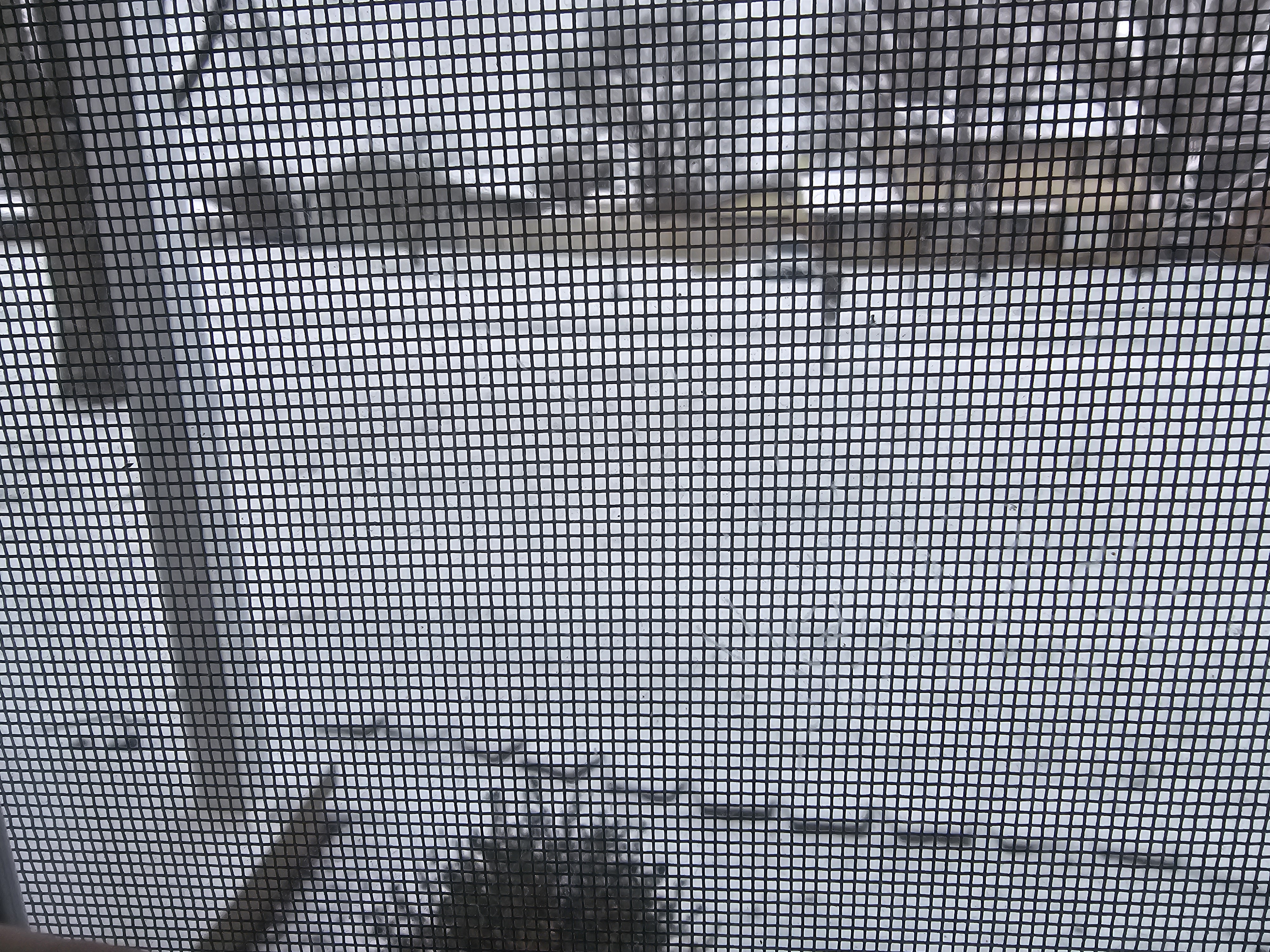Photos · Jan 15, 2024