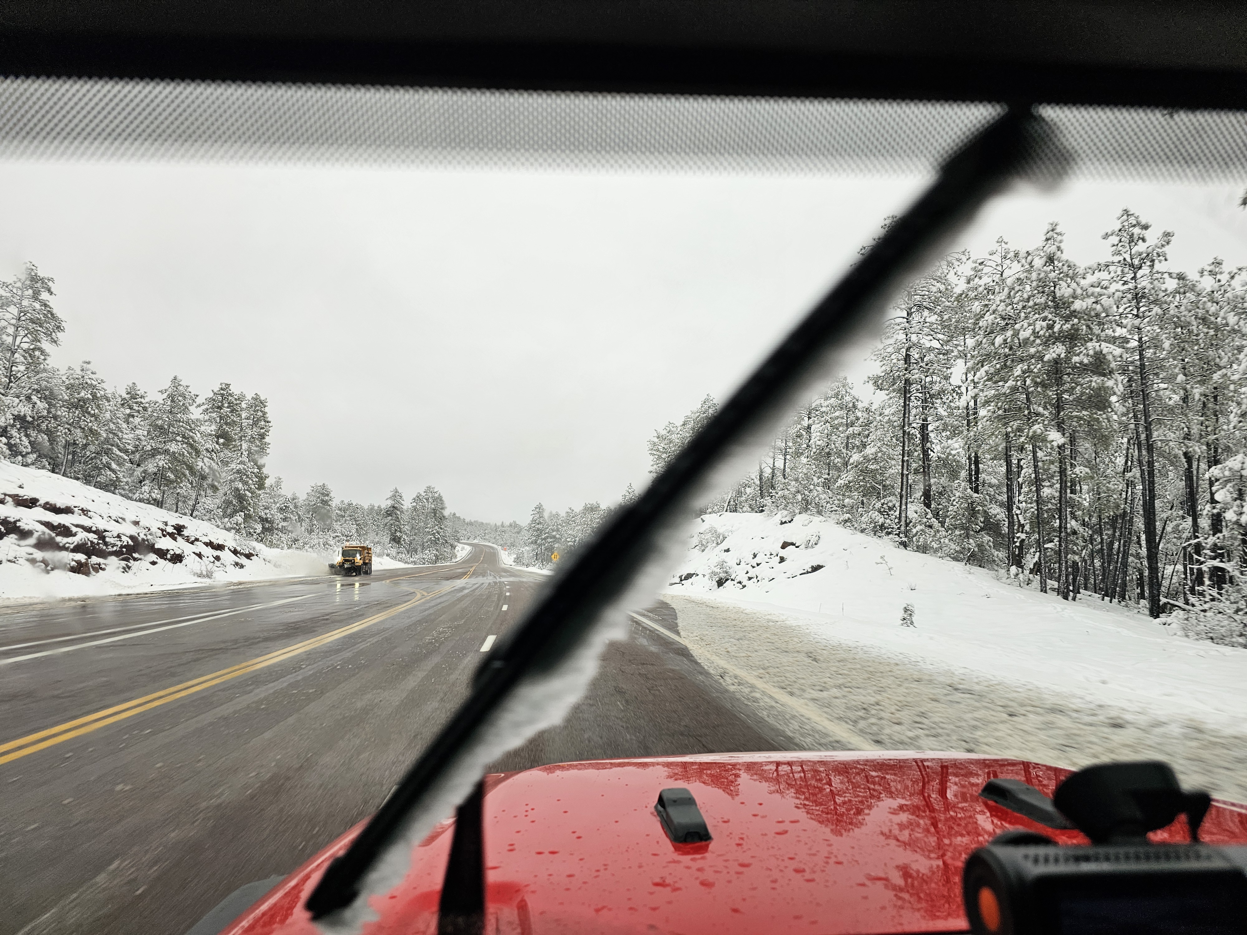 Trip from Arizona