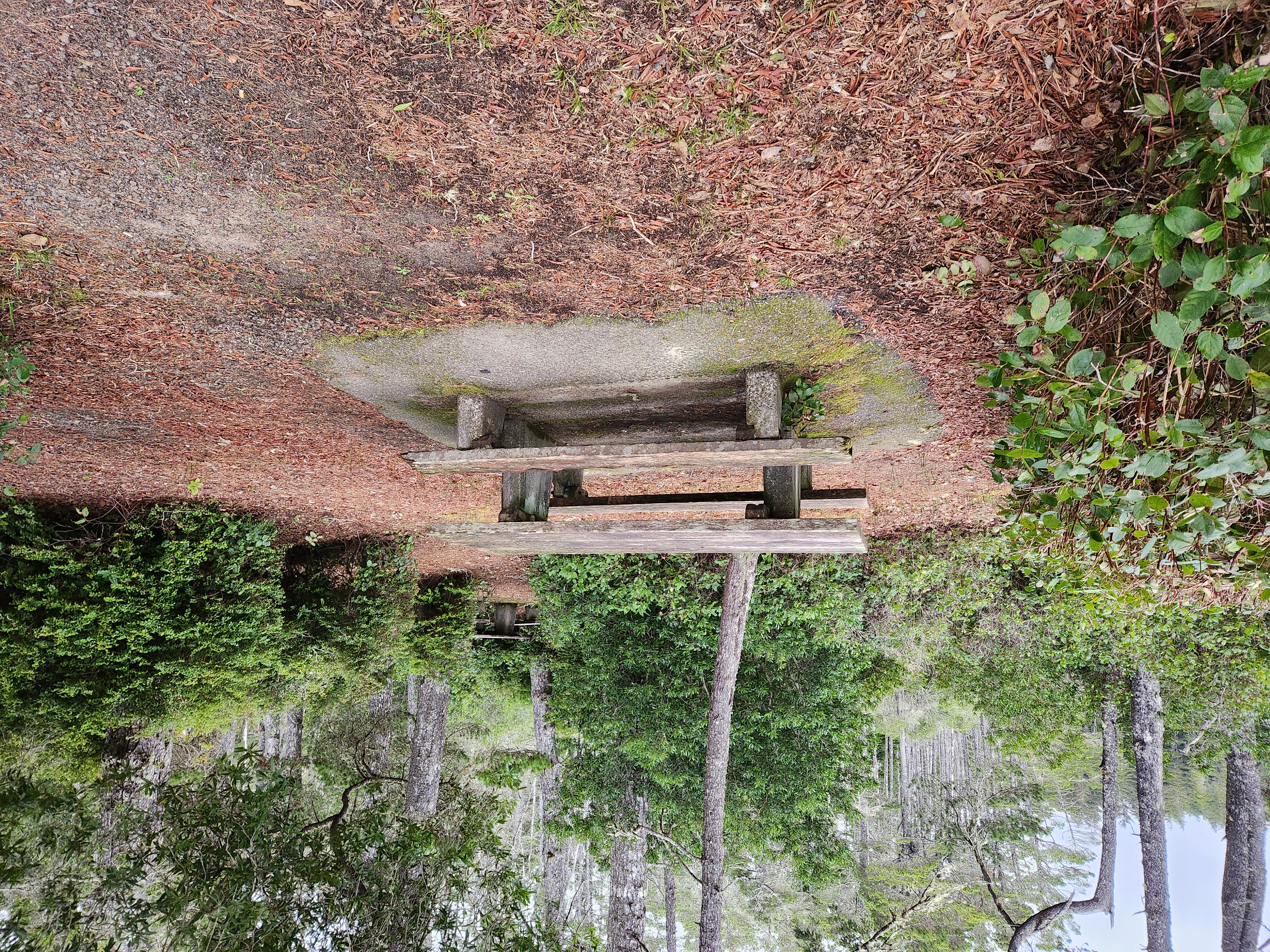 Photos · Mar 11, 2025