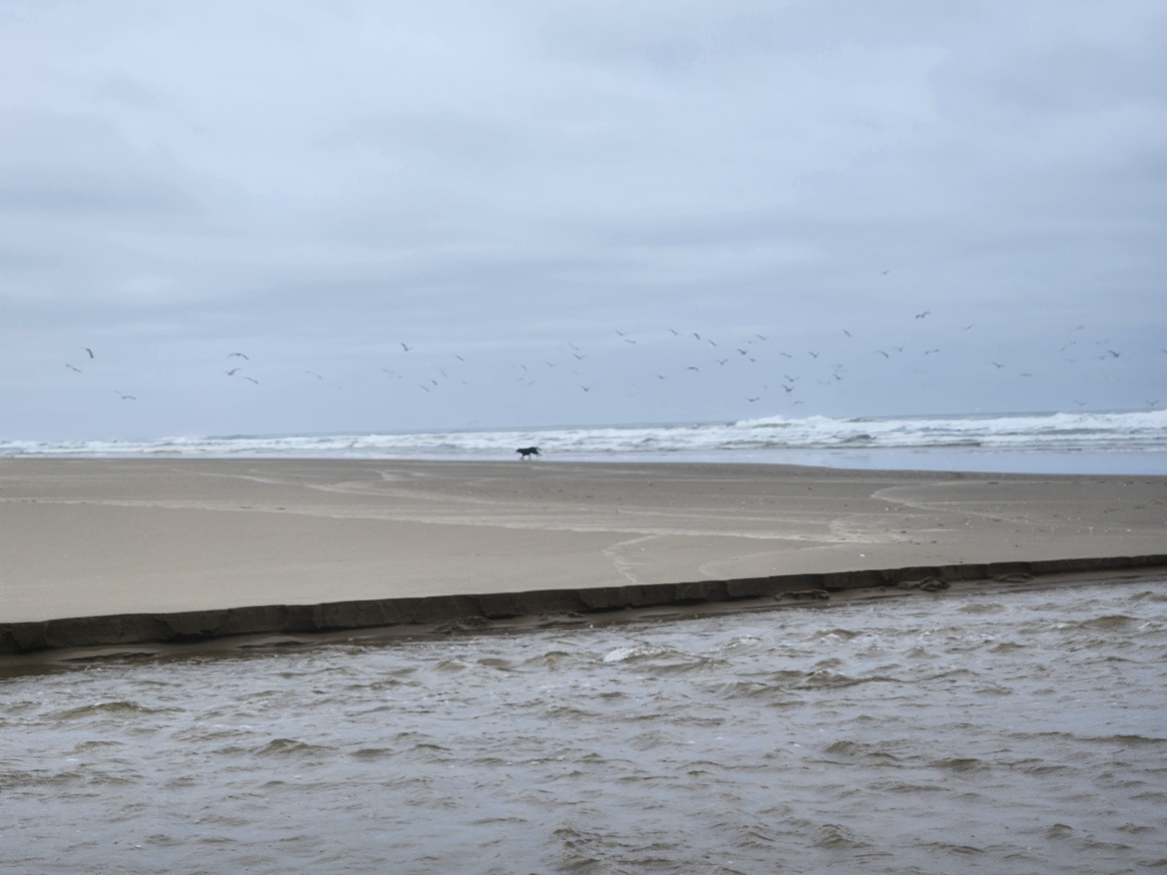 Photos · Nov 25, 2025