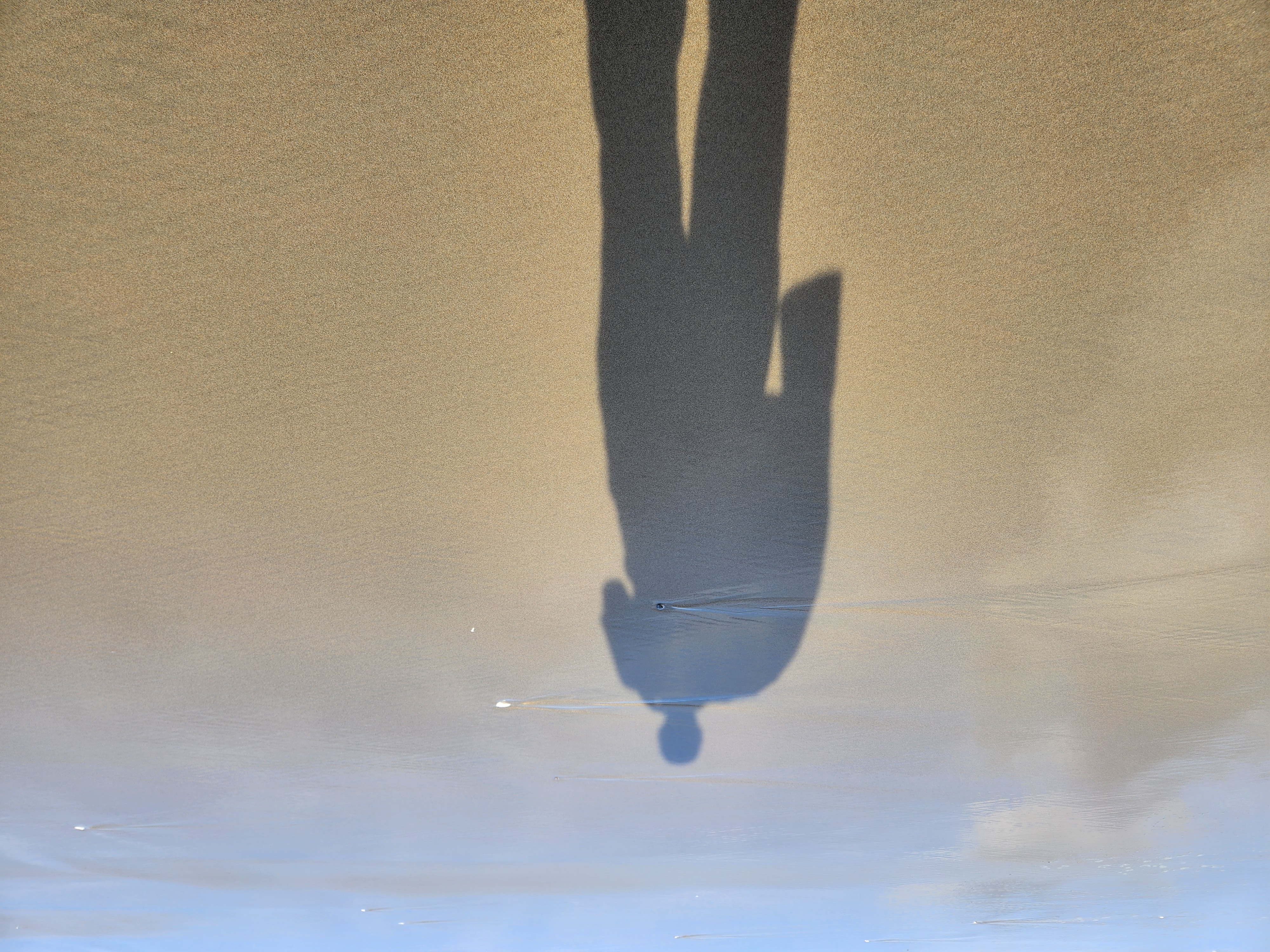 Photos · Nov 30, 2025