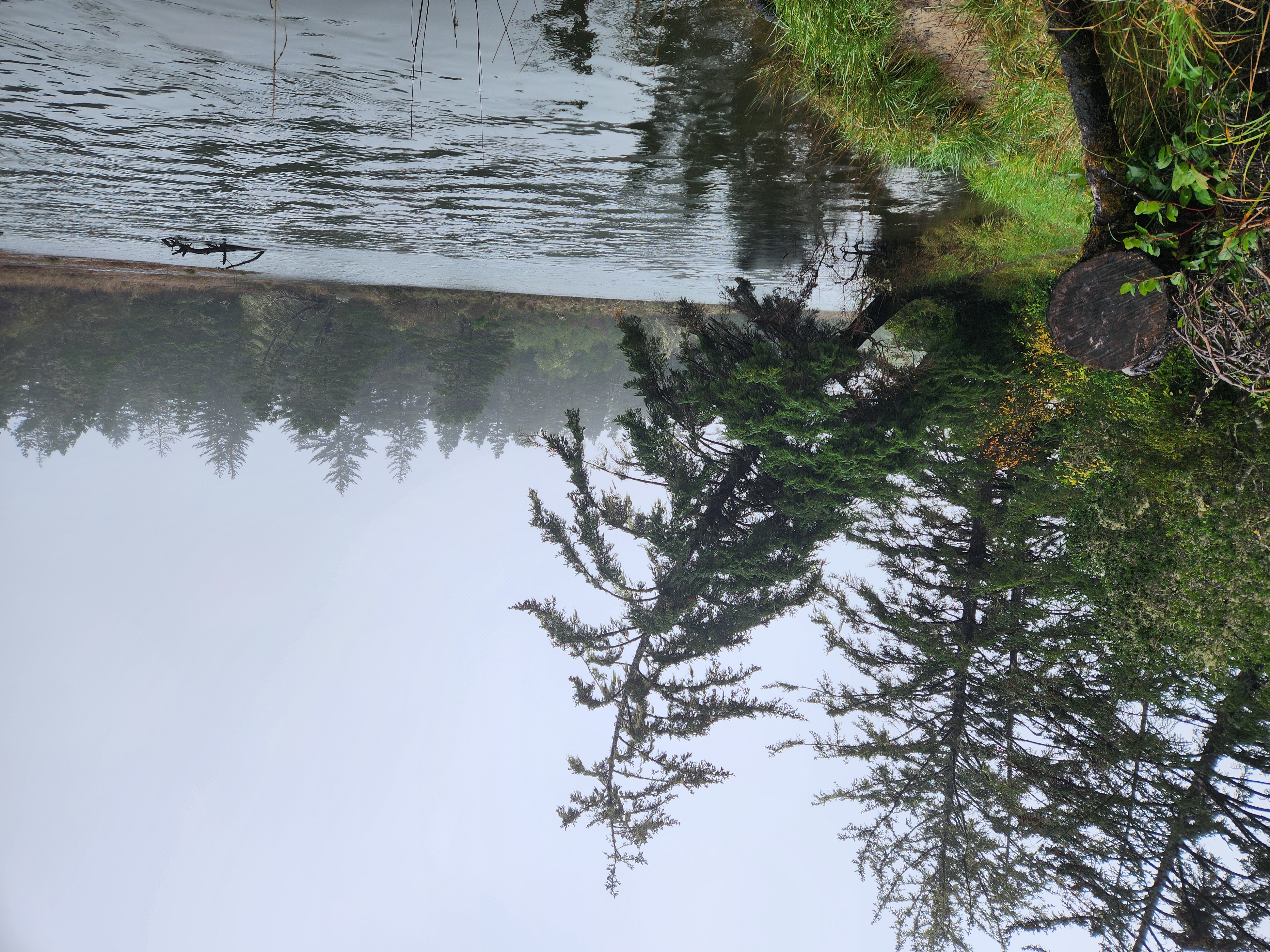 Photos · Dec 10, 2025