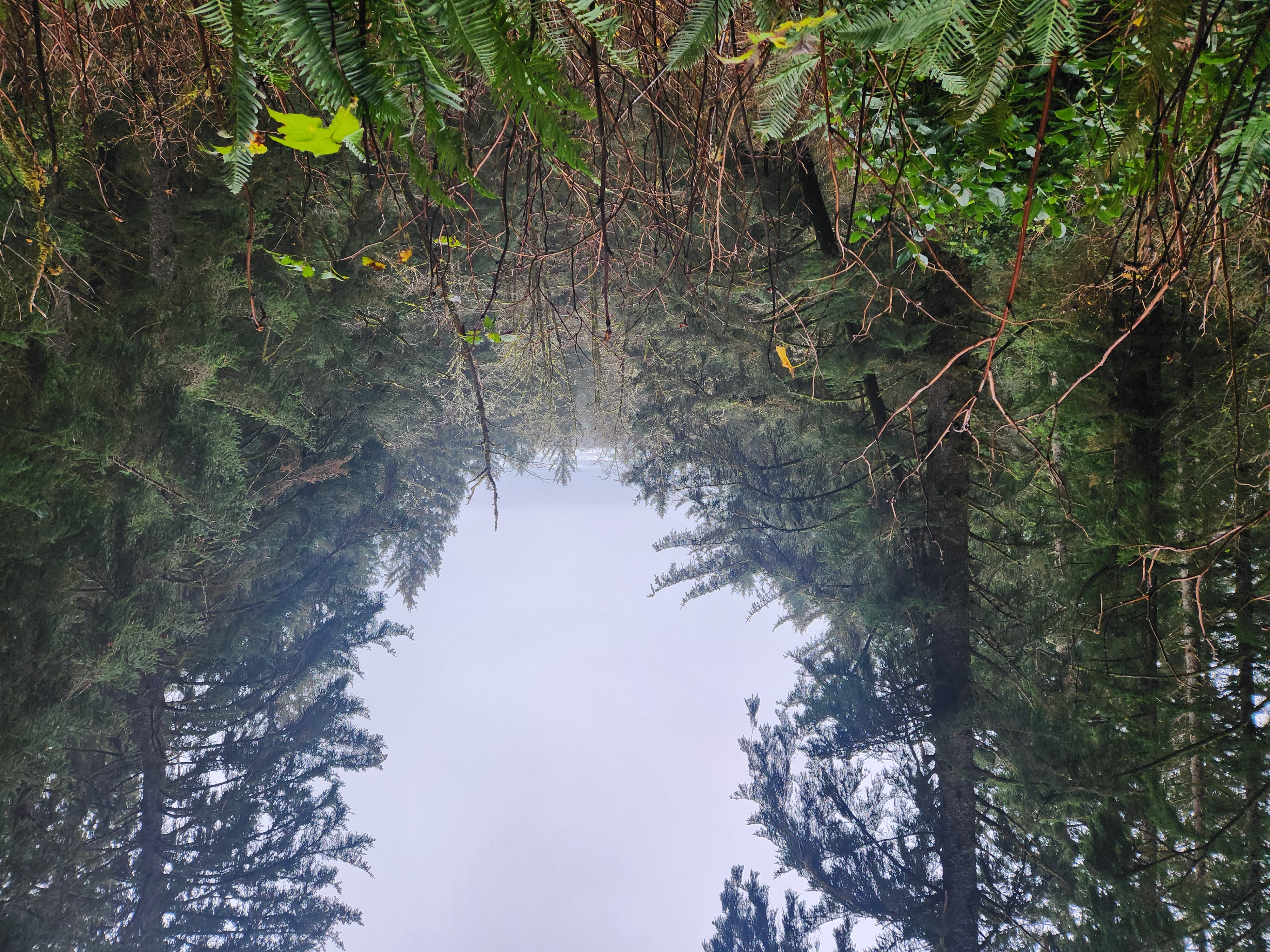 Photos · Dec 21, 2025